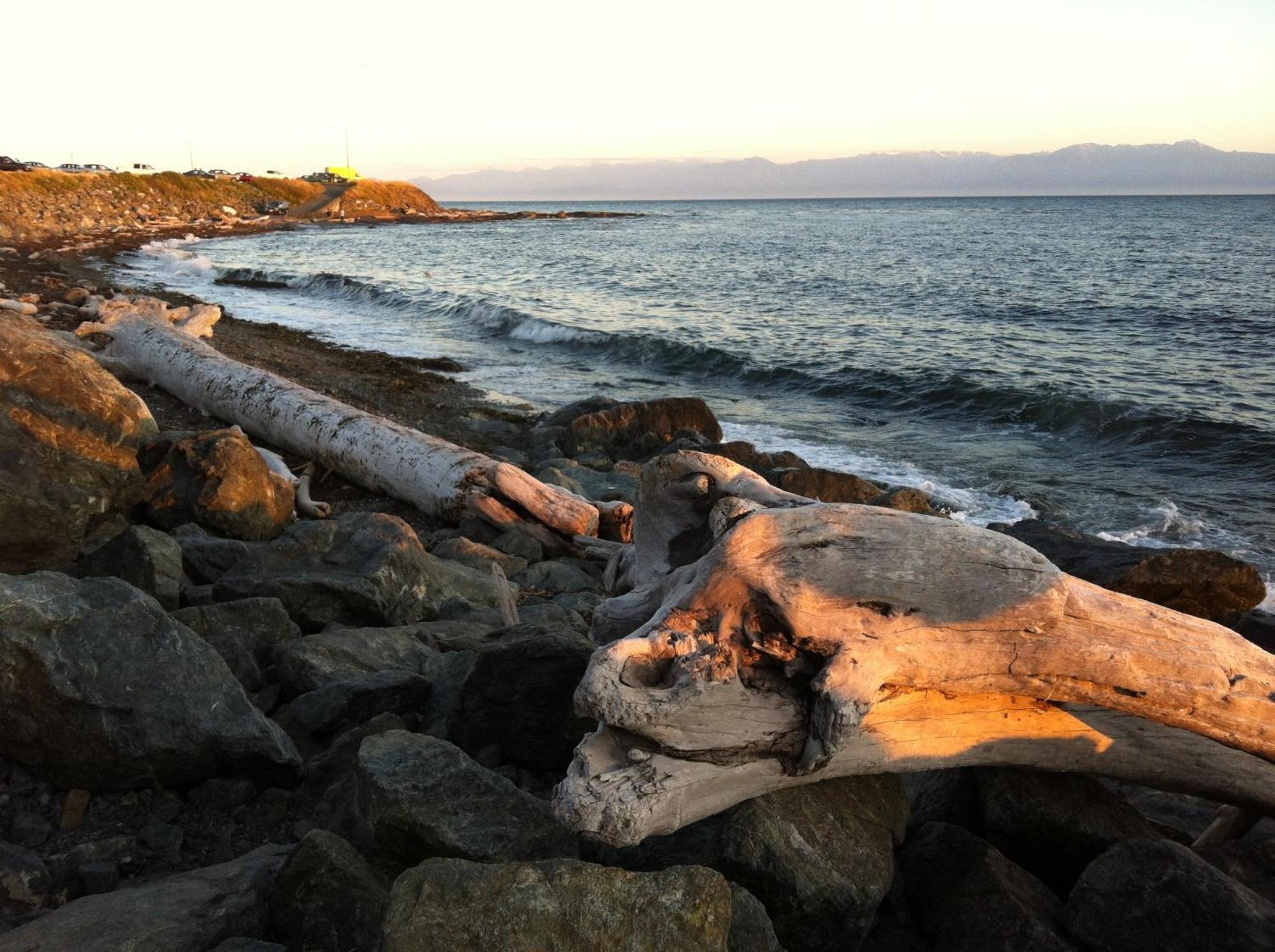 Dashwood Manor Seaside Bed & Breakfast Βικτώρια Εξωτερικό φωτογραφία